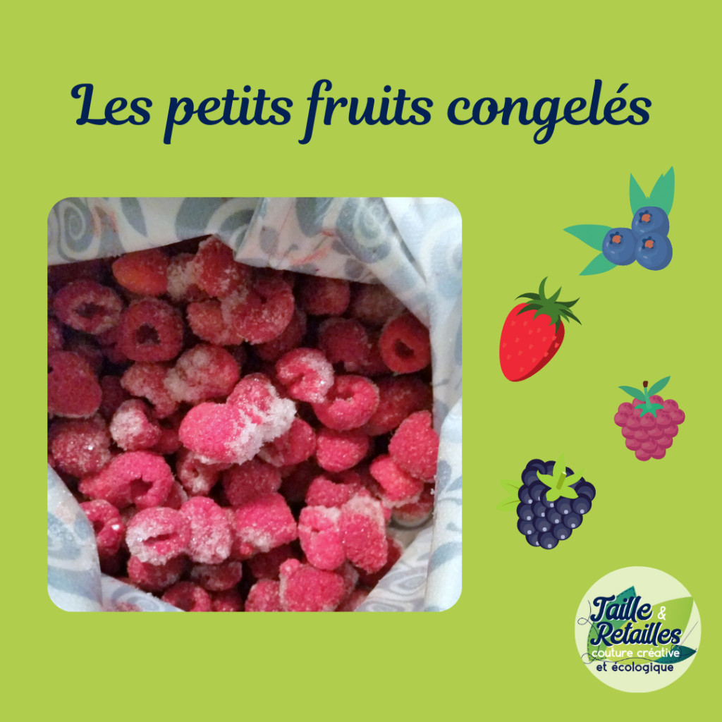 Les grands sacs alimentaires réutilisables Taille & Retailles conviennent bien à la congélation des petits fruits.