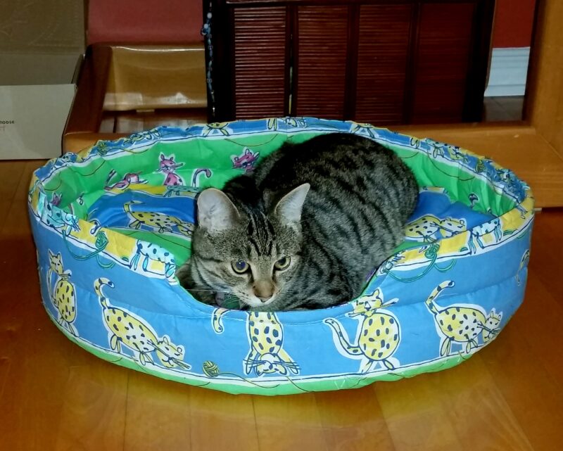 Service de couturière à Vaudreuil-Dorion : Panier pour chat