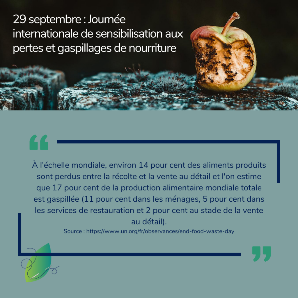 29 septembre 2022 : Journée internationale de sensibilisation aux pertes et gaspillages de nourriture