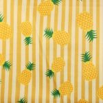 45. Ananas et rayures