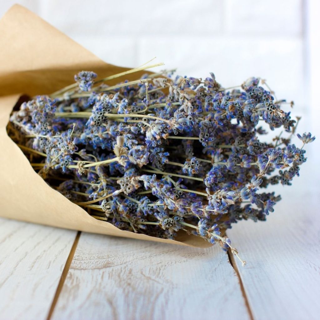 Guide cadeaux 2025 - Hôtes 6