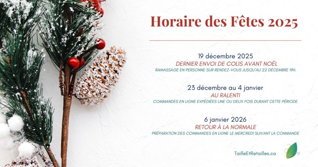 Horaire des Fêtes 2025