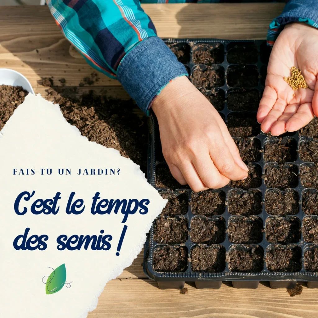 Jardin maison : Faire des semis