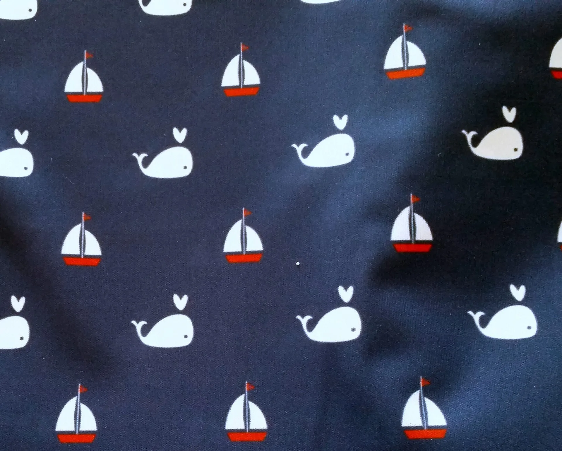 28. Bateaux-baleines