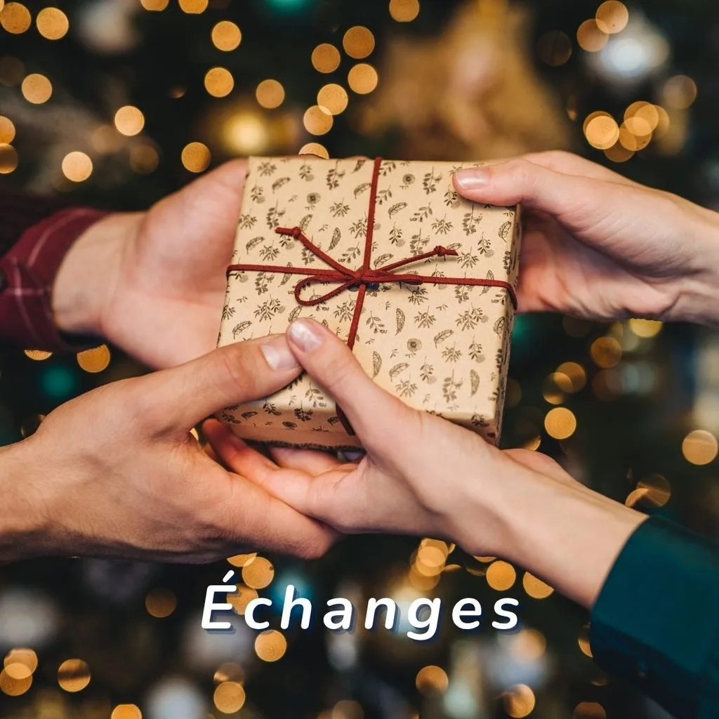 Guide cadeaux écolos 2026 - Des choix écologiques pour les échanges de cadeaux